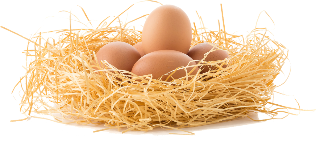 Wartość odżywcza jajek - czy jajka są zdrowe?