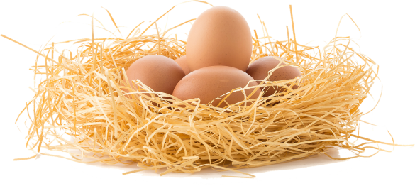 wartość odżywcza jajek