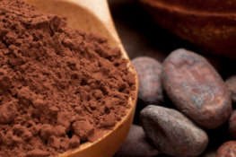 właściwości i zastosowanie kakao