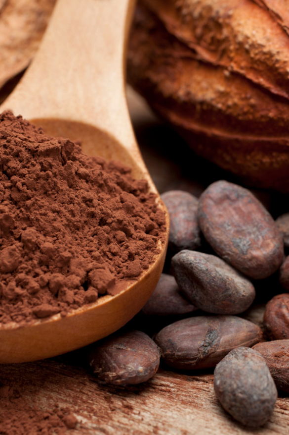 właściwości i zastosowanie kakao
